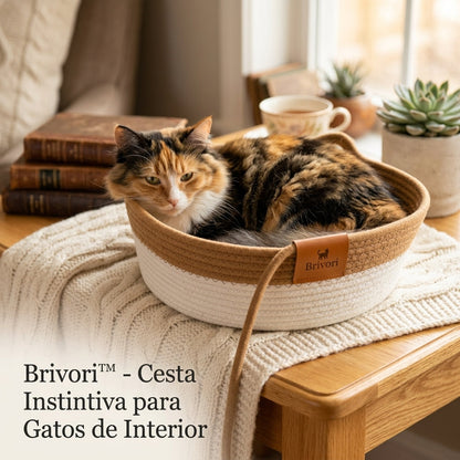 Brivori™ - Cesta Instintiva para Gatos de Interior