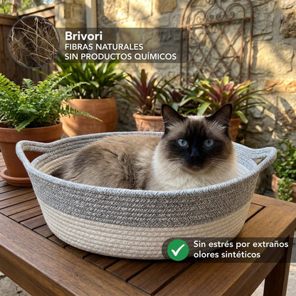 Brivori™ - Cesta Instintiva para Gatos de Interior